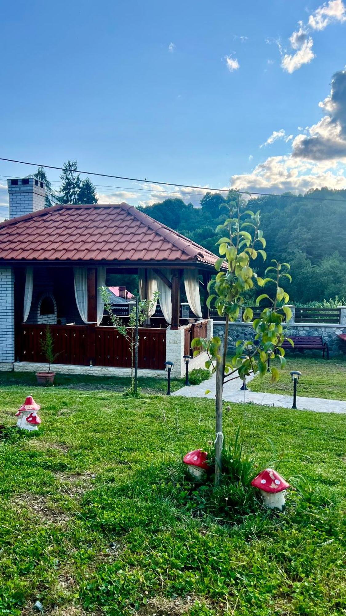Casa Tudorescu Horezu Exterior foto